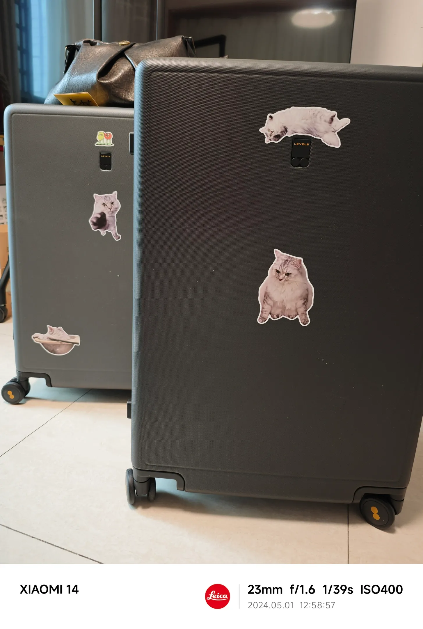 崽崽旅行箱首秀！