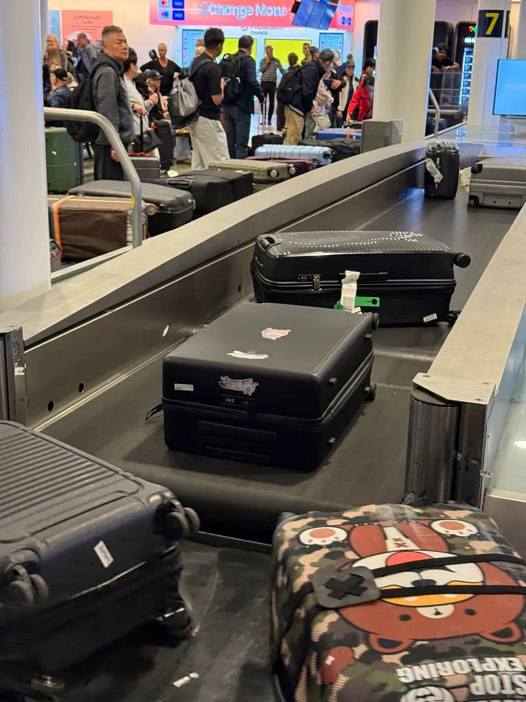 崽崽行李箱真的超有辨识度