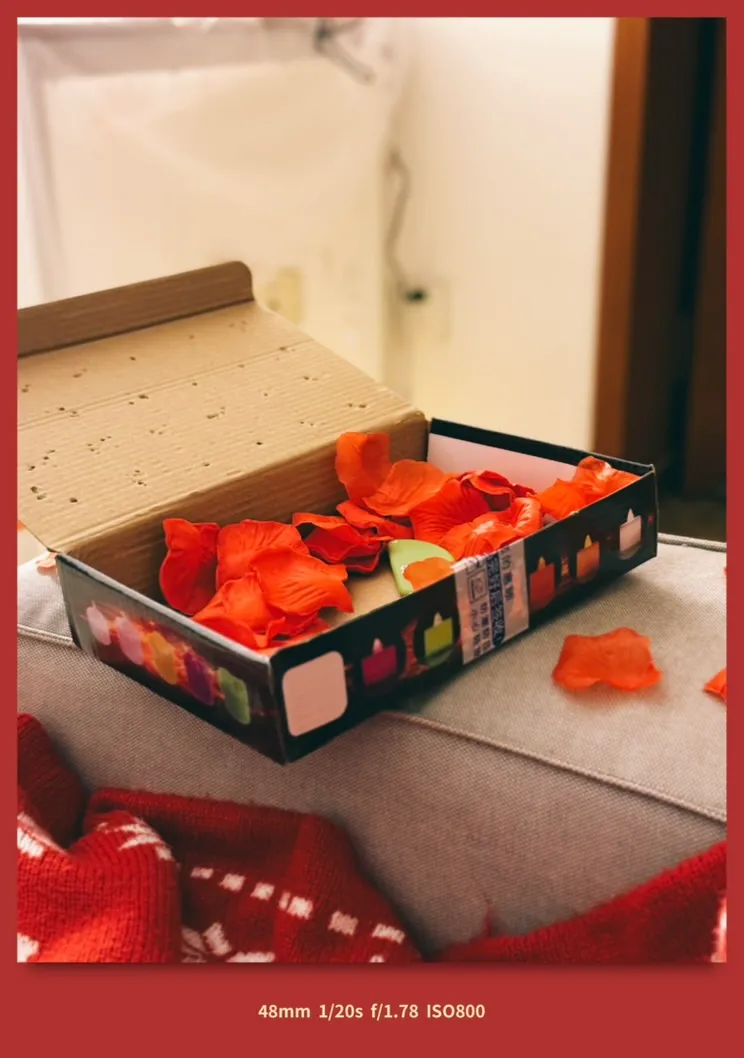 求婚现场的花瓣