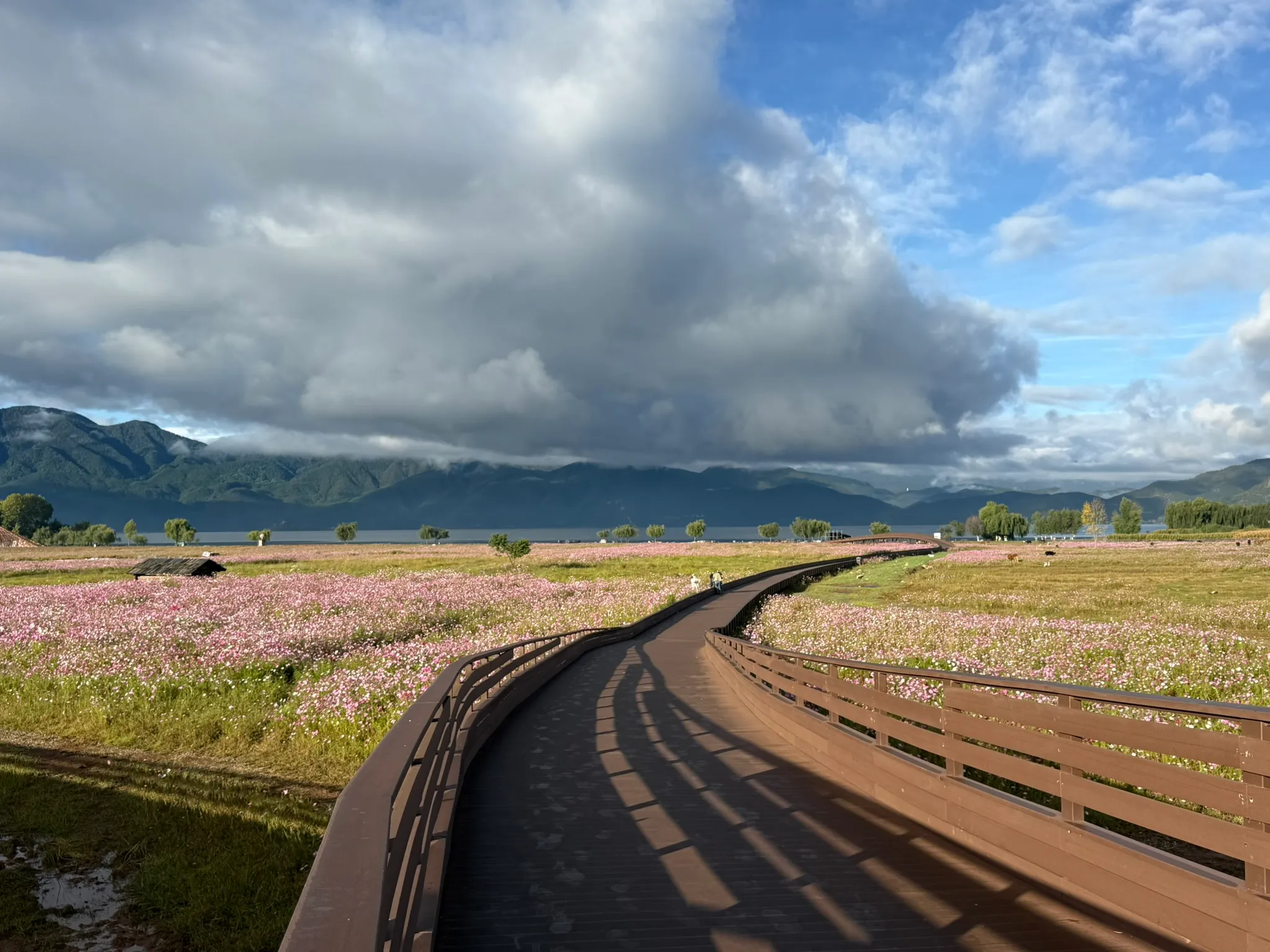 再来一张，好看好看好看