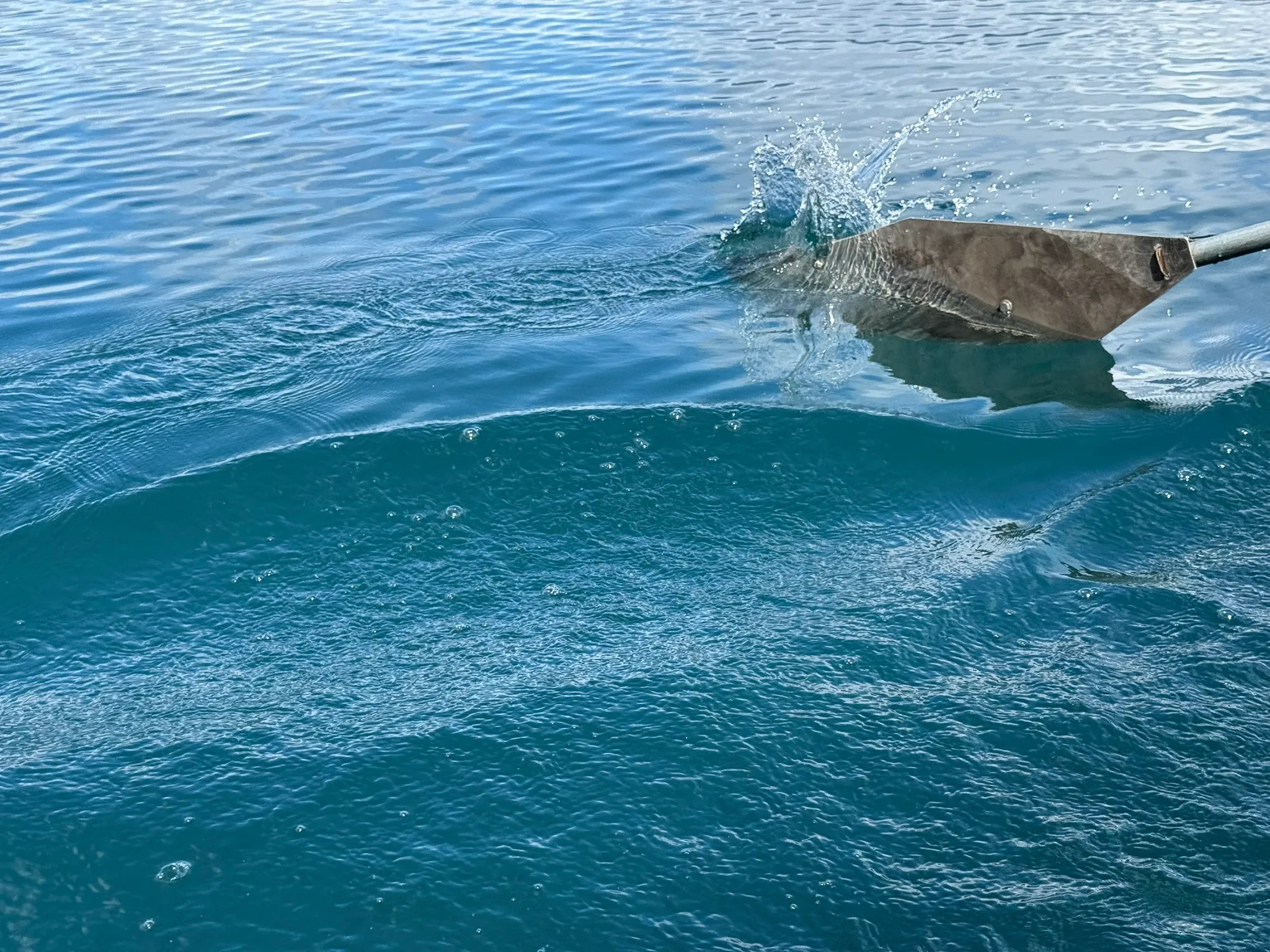 人力划船，水很干净