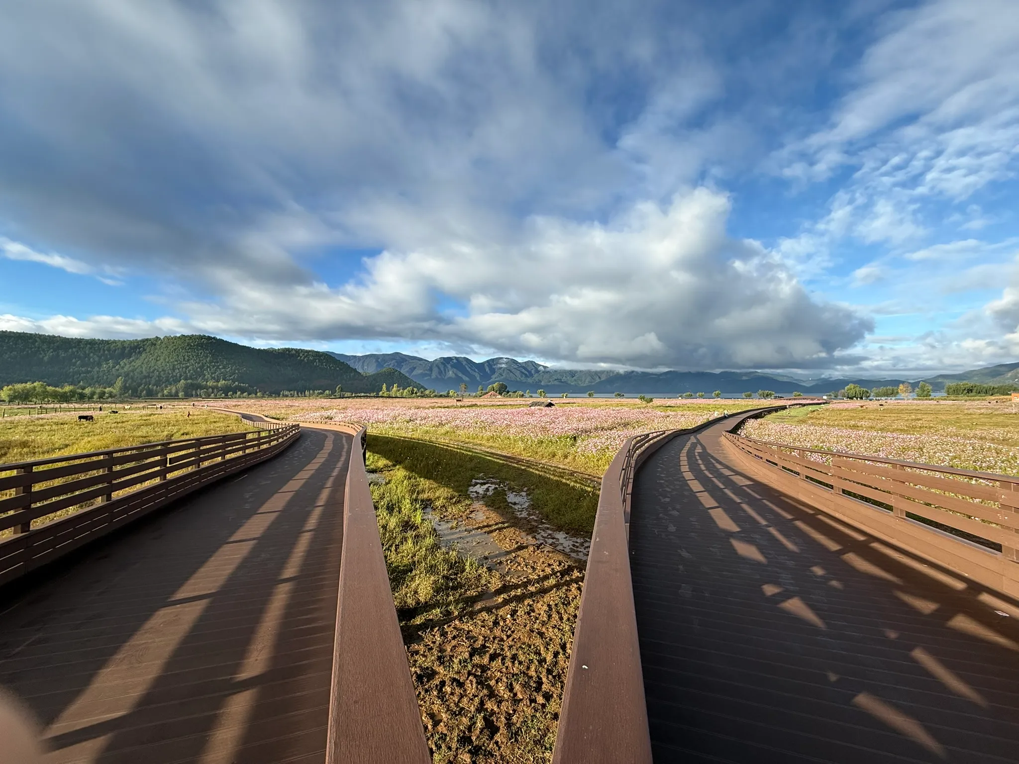 拍个广角感受下