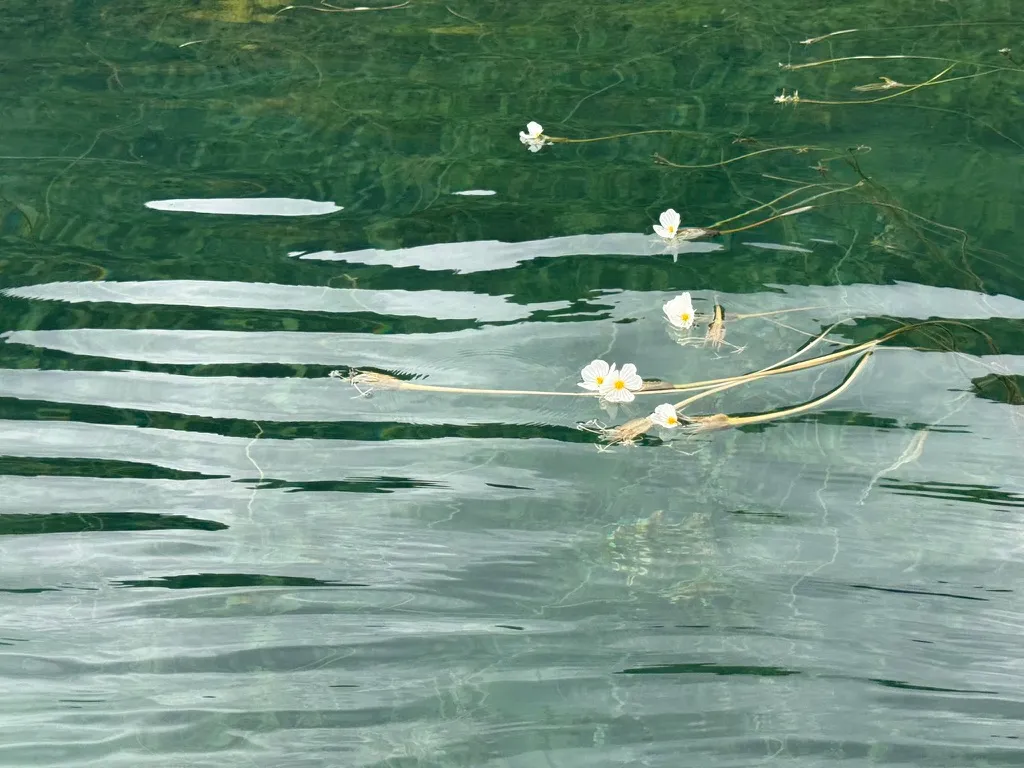 一点点水性杨花