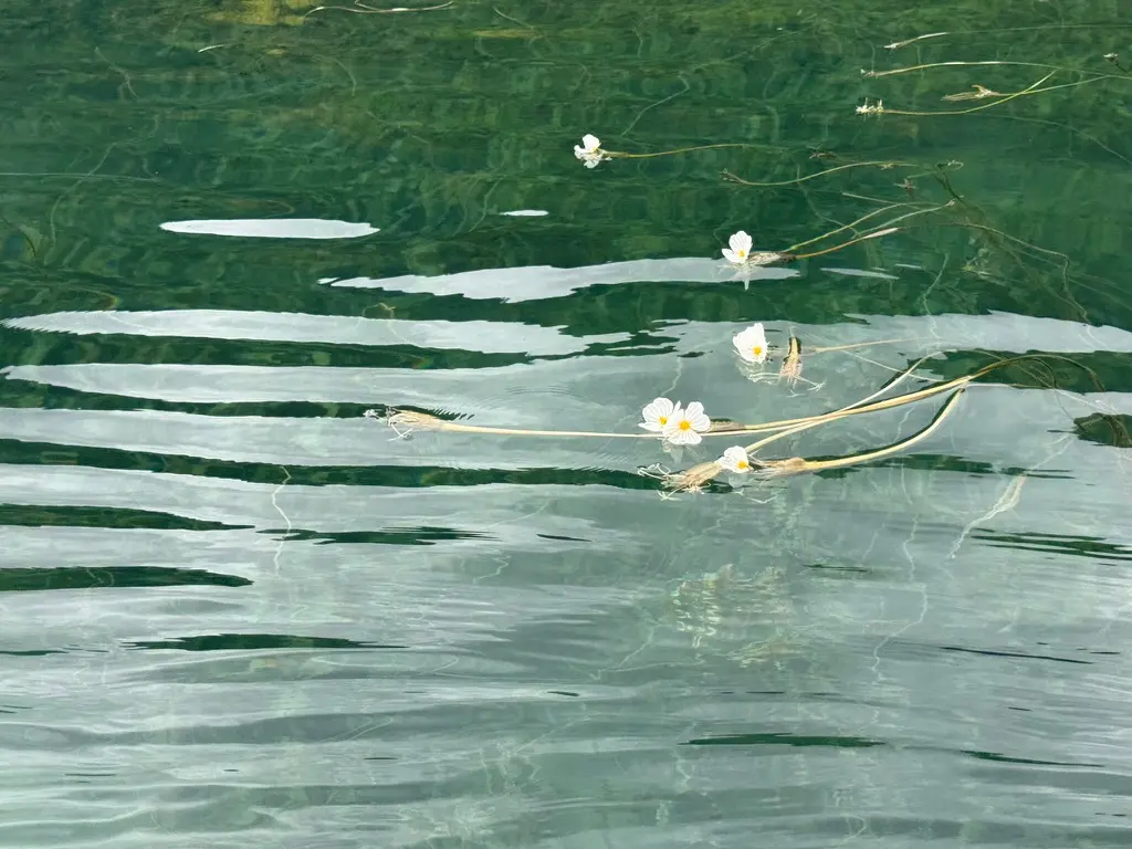 一点点水性杨花